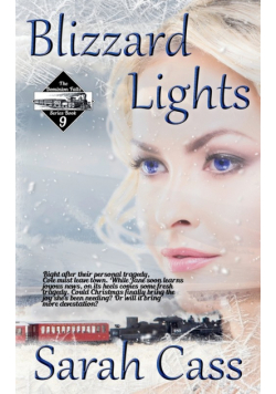 Blizzard Lights (The Dominion Falls Series Book 9)