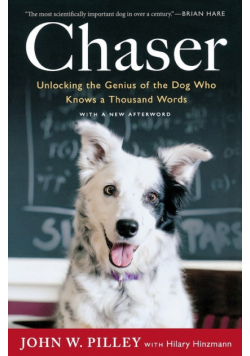 Chaser