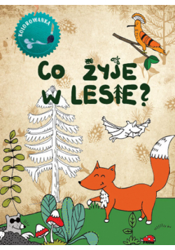 Co żyje w lesie. Kolorowanka