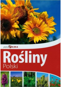 Piękna Polska Rośliny Polski