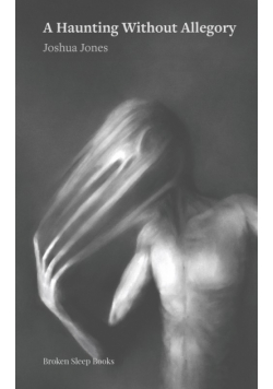 A Haunting Without Allegory
