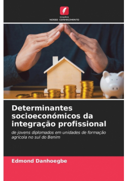 Determinantes socioeconómicos da integração profissional