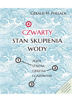 Czwarty stan skupienia wody. Poza stałym, ciekłym i gazowym