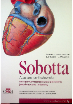 Atlas anatomii człowieka Sobotta Narządy wewnętrzne klatki piersiowej, jamy brzusznej i miednicy