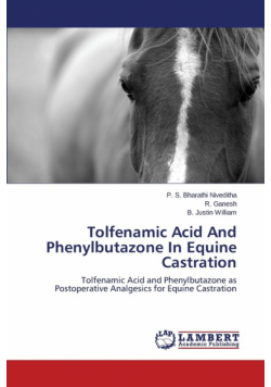 Tolfenamic Acid and Phenylbutazone in Equine Castration