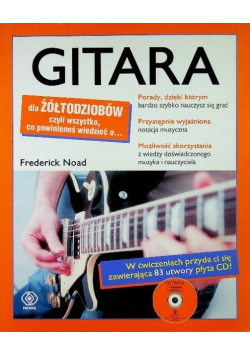 Gitara dla żółtodziobów