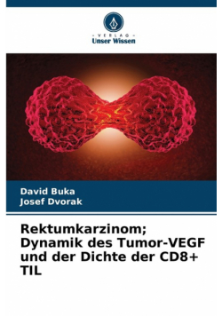 Rektumkarzinom; Dynamik des Tumor-VEGF und der Dichte der CD8+ TIL