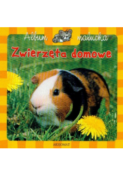 Zwierzęta domowe