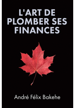 L'Art de Plomber ses Finances