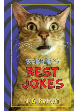 Bernie's Best Jokes