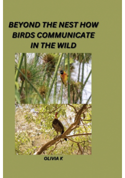 Beyond the Nest