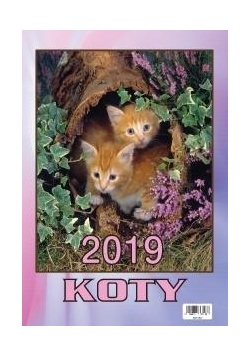 Kalendarz 2019 Wieloplanszowy Koty BESKIDY