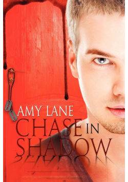Chase in Shadow