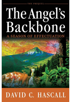 The Angel's Backbone