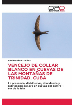 Vencejo De Collar Blanco En Cuevas De Las Montañas De Trinidad, Cuba