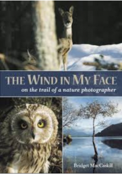 The Wind in My Face: On the Trail of a Nature