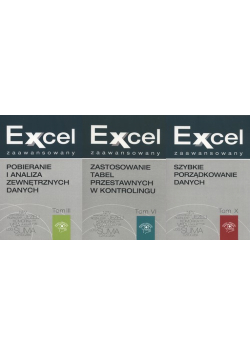 Excel zaawansowany Tom 3 / Tom 6 / Tom 10