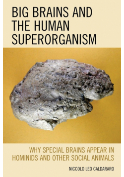 Big Brains and the Human Superorganism