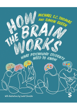 How the Brain Works