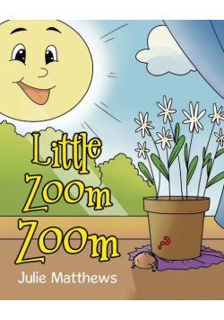 Little Zoom Zoom