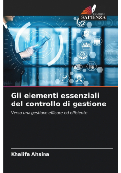 Gli elementi essenziali del controllo di gestione