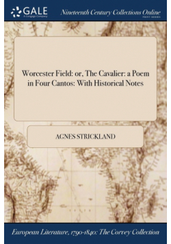 Worcester Field