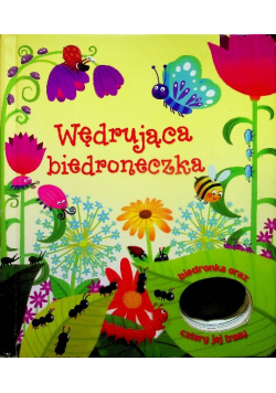 Wędrująca biedroneczka