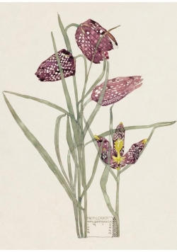 Karnet B6 z kopertą Fritillaria