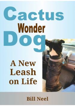 Cactus the Wonder Dog