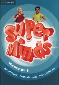 Super Minds Wordcards