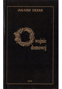 O wojnie domowej
