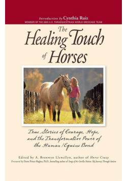 The Healing Touch of Horses