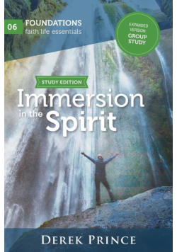 Immersion in the Spirit - Group Study