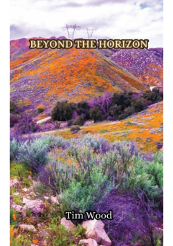 Beyond the Horizon