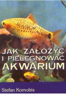 Jak założyć i pielęgnować akwarium