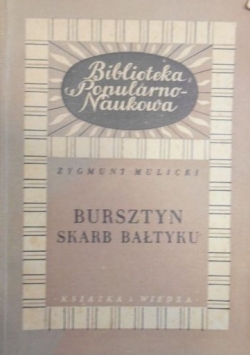 Bursztyn. Skarb Bałtyku