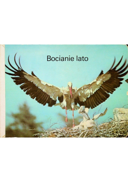 Bocianie Lato