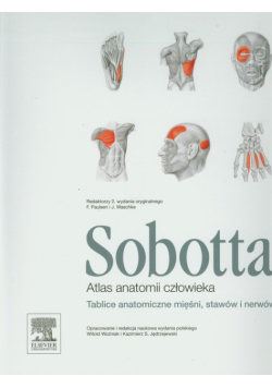 Atlas anatomii człowieka Sobotta