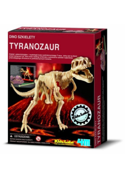 Dino szkielety Tyranozaur
