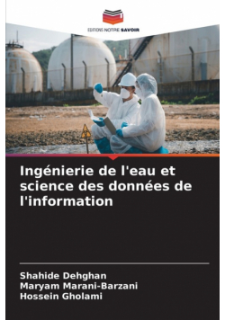 Ingénierie de l'eau et science des données de l'information