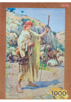 Solomon Puzzle Dobry Pasterz