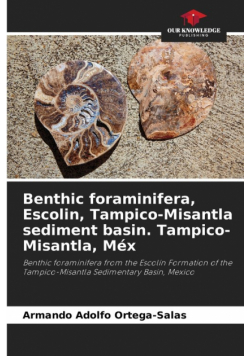 Benthic foraminifera, Escolin, Tampico-Misantla sediment basin. Tampico-Misantla, Méx
