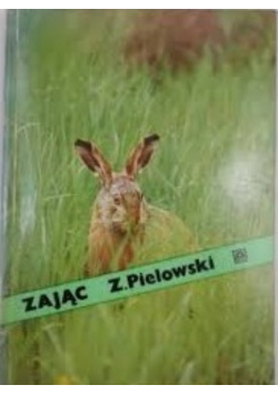 Zając