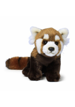 Panda czerwona 23 cm