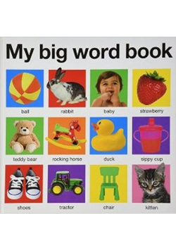 My Big Word Book