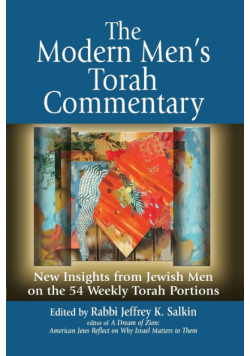 The Modern Men's Torah Commentary