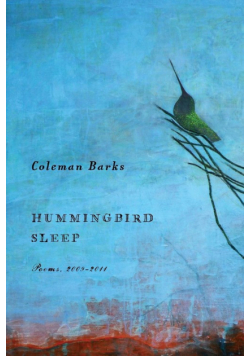 Hummingbird Sleep