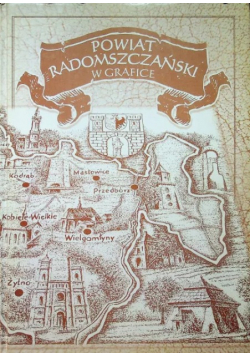 Powiat radomszczański w grafice