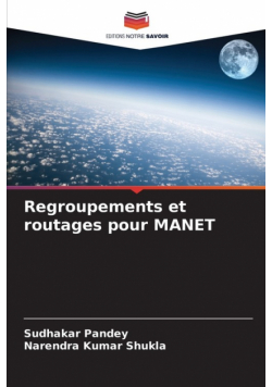 Regroupements et routages pour MANET