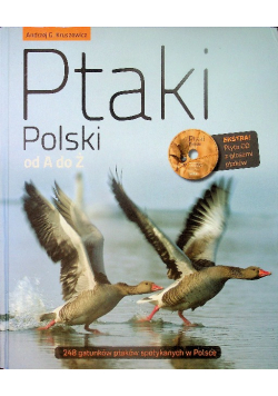 Ptaki Polski od A do Ż
